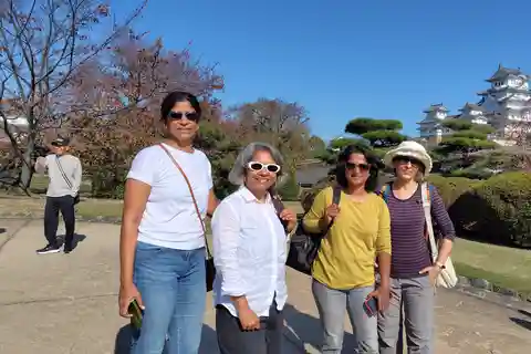 Tour guidato del castello di Himeji in 90 minuti