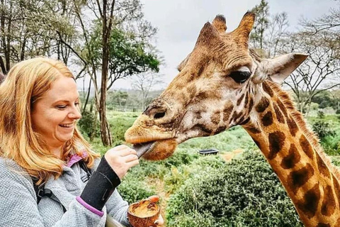 Mombasa: Half-Day Haller Park Giraffes Feeding Experience