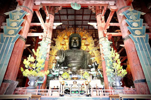 جولة ليوم واحد في نارا وأوجي - التركيز على ثقافة الراحة في كيوتوجولة ليوم واحد في نارا وأوجي - راحة ف