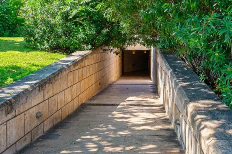 From Thessaloniki: Private Tour to Vergina Royal Tombs