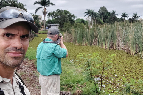 Birdwatching e lato brasiliano delle cascate.