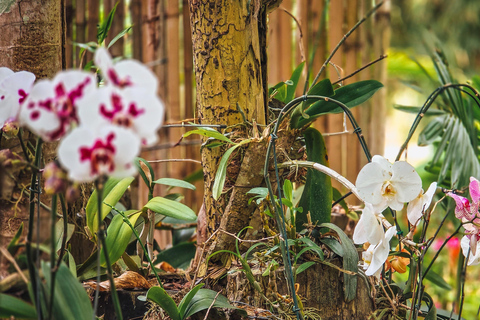 Stan Rio de Janeiro: Bilet wstępu do ogrodów kulturalnych Uaná Etê