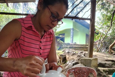 From Colombo/Kalutara: Full-Day Sinharaja Guided Eco Trek