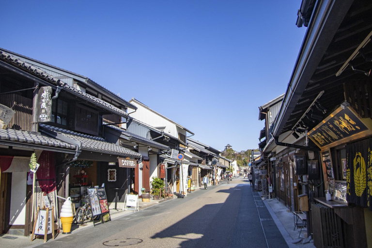 From Nagoya: Inuyama Day Trip