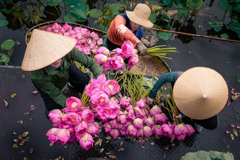Hanoi: Thai Vi Temple or Tam Coc & Mua Cave & Hoa Lu & Cycle Hanoi: Ninh Binh, Hoa Lu, Tam Coc, Mua Cave, Buffet & Cycle