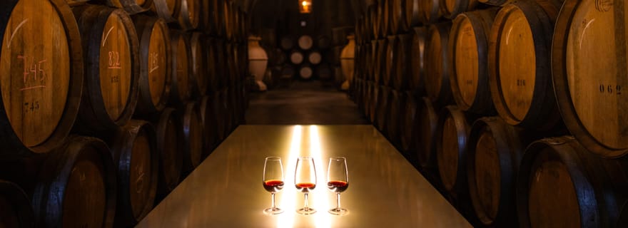 Douro Luxury - Private Cruise Premium Winery and Restaurant