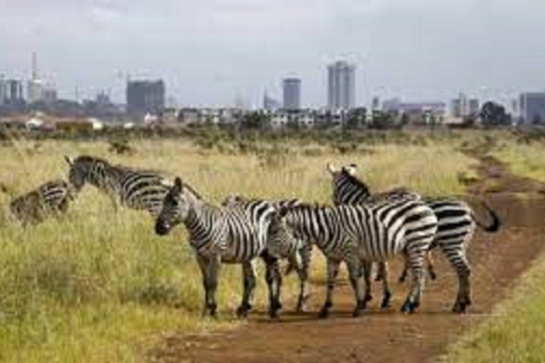 Game Drive w Parku Narodowym Nairobi