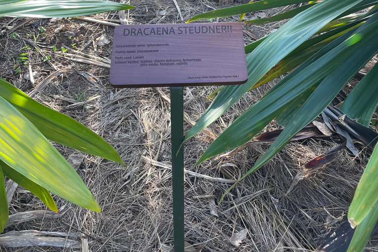 Kigali: City Tour, Nyandungu Eco Park, and Lunch