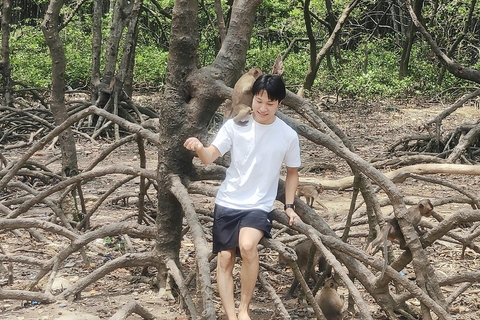 Visite d&#039;une jounée de la forêt de mangroves de Can Gio et de l&#039;île aux singes