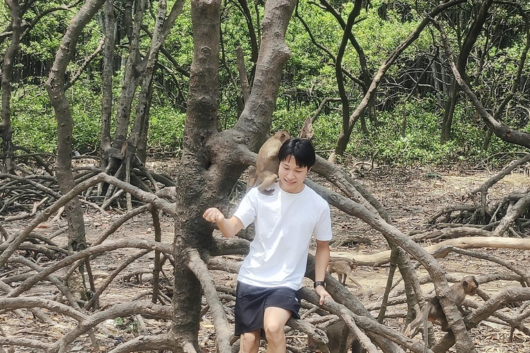 Visite d&#039;une jounée de la forêt de mangroves de Can Gio et de l&#039;île aux singes