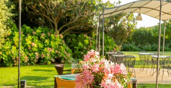 Alghero: Garden Wine Tasting at a Boutique Winery