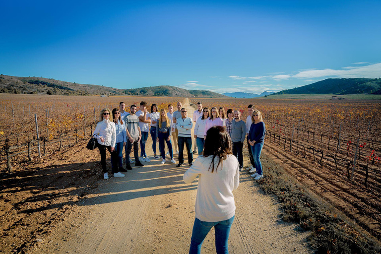 Alicante: Premium Winery: Guided tour with 6 tastings and a special gift