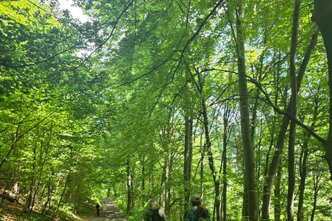 Easy Hike to Tampa Peak & Panoramic Coffee Break