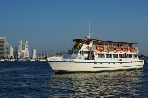 Carthagène : excursion en bateau de nuit avec dîner et open barCARTAGENA : Excursion en bateau de nuit blanche avec dîner et open bar