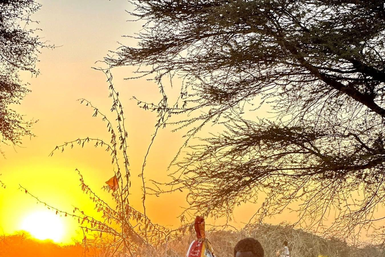 Addis Ababa: 6-Day Bale Mountains Guided Tour with Meals