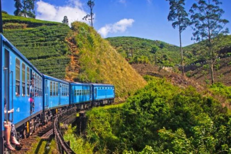 Ella to Horton Plains with Bakers Falls & Train Delights Haputale to Horton Plains with Bakers Falls & Train Delights