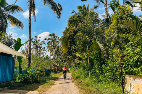 From Ubud: Downhill Bike Tour with Rice Terraces and Meal