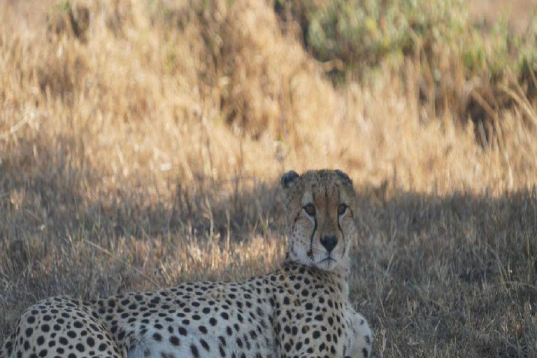 Parc national de Nairobi dans la ville de Nairobi.