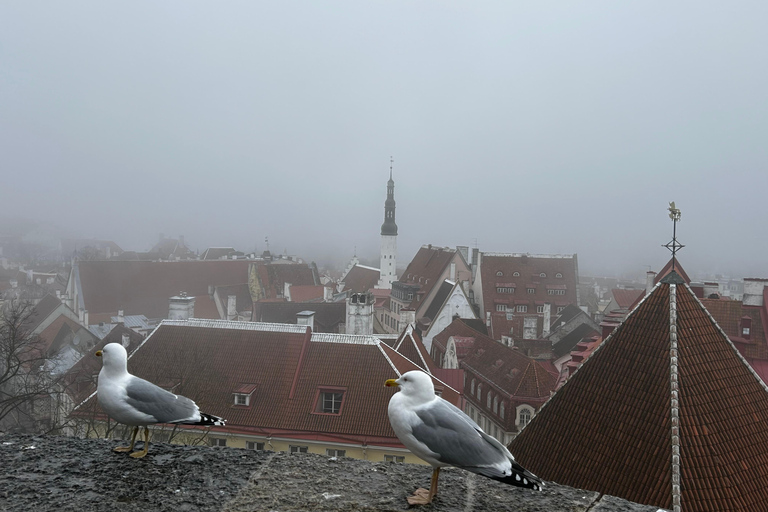 Tallinn: Old Town Walking TourTour in English