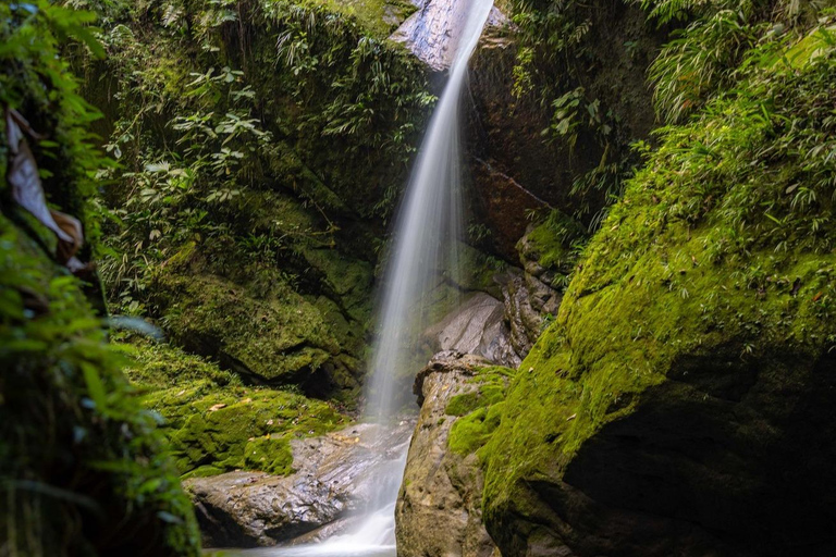 Embrace the Beauty of Alto Shambillo