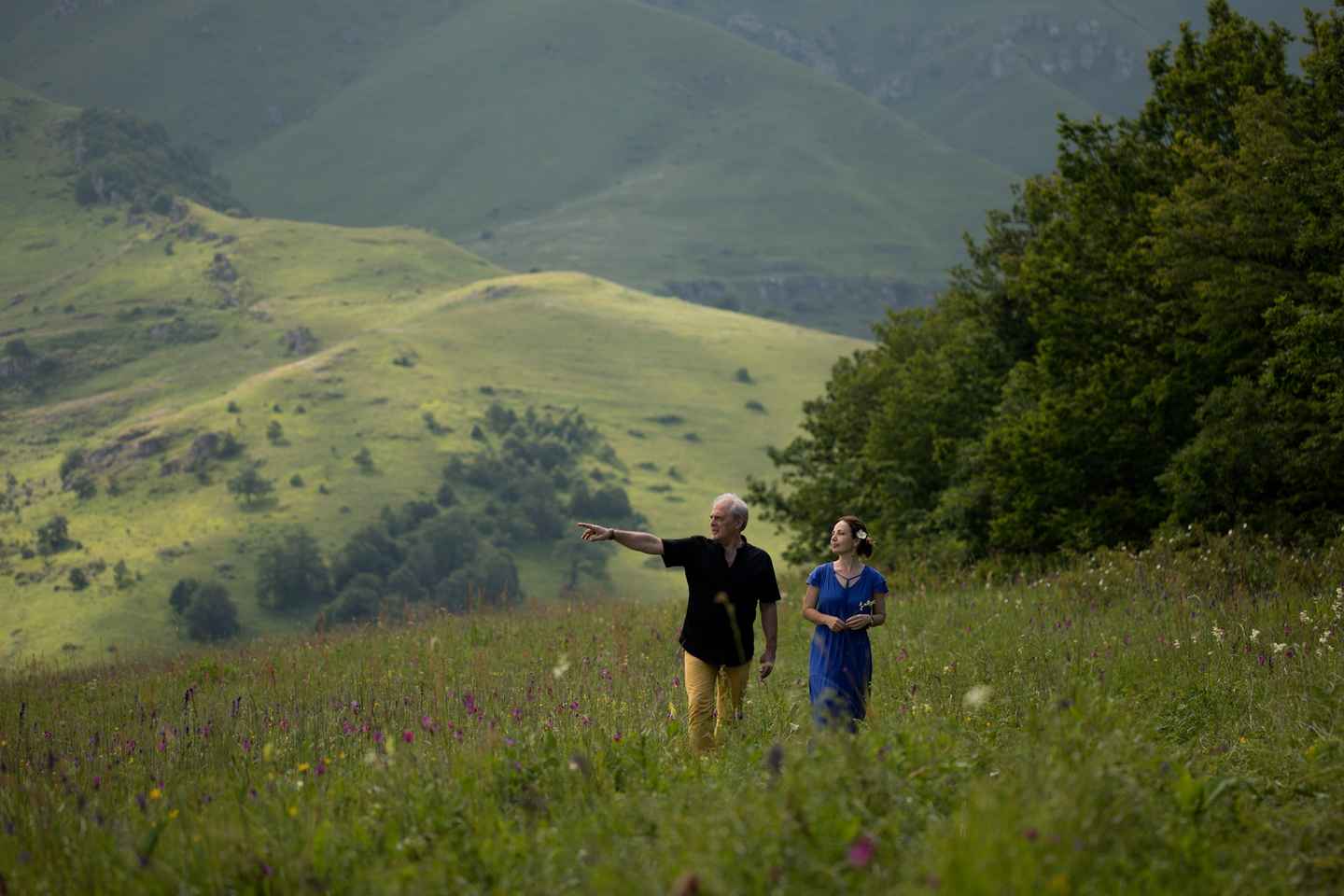 Dilijan Woodland Feast