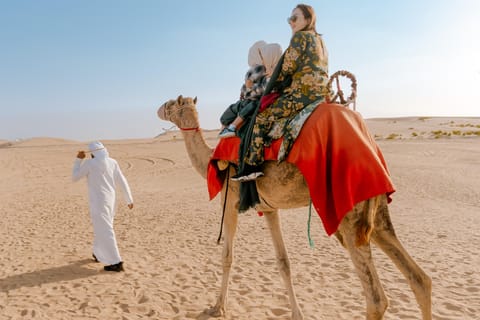 Abu Dhabi: Sunrise Camel Desert Safari with Breakfast