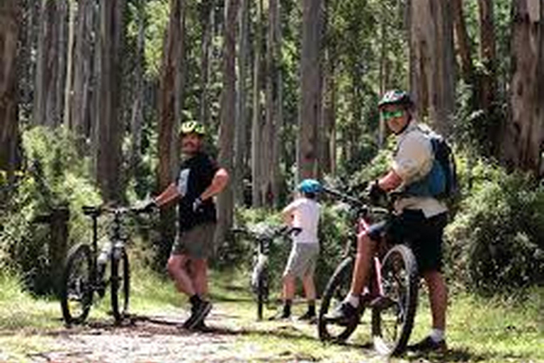 Aventura de bicicleta: Passeio de Bandarawela a Karadagolla