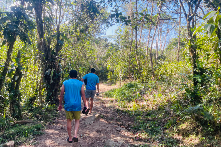 Paraty: Serra da Bocaina National Park Guided Hike