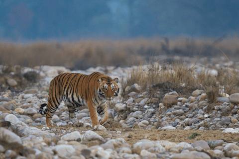 06 Days Golden Triangle Tour with Ranthambore Safari