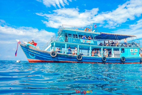 Koh Tao in a Day: Turtles, Hidden Reefs & Nangyuan Viewpoint