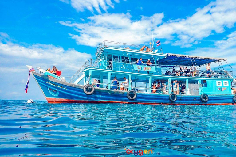 Koh Tao in a Day: Turtles, Hidden Reefs & Nangyuan Viewpoint