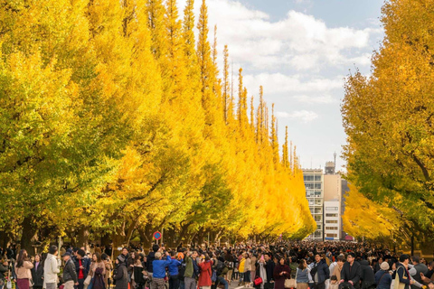 Tokyo: Private Customizable Tour with Driver-Guide