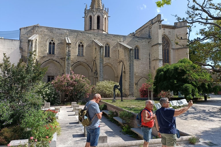 Avignon : Half-Day Walking Tour with Private Guide