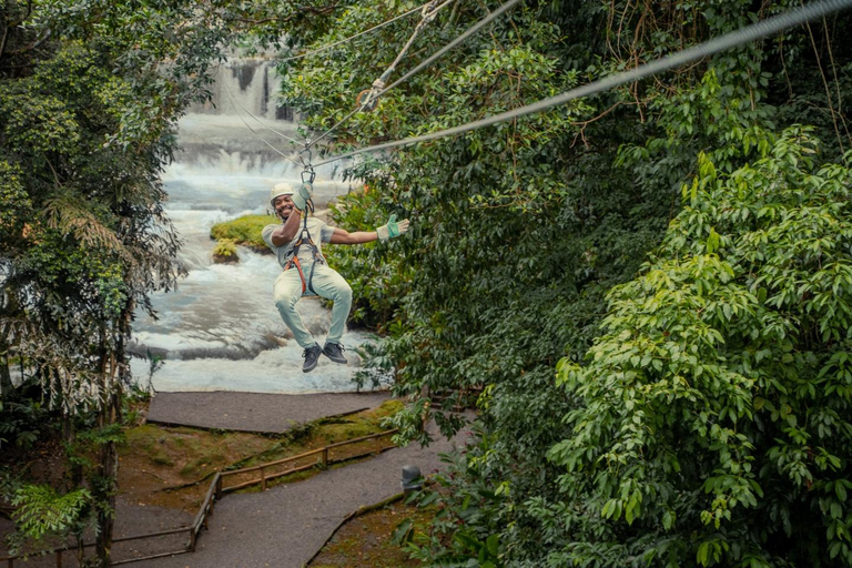 蒙特哥湾/尼格瑞尔阿普尔顿朗姆酒之旅（Appleton Rum Tour）和 YS 瀑布滑索（YS Falls Zipline