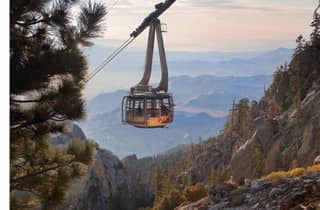 Palm Springs: Aerial Tramway Ticket für Hin- und Rückfahrt