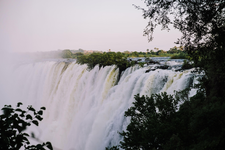 8-Day Zambia and Zimbabwe Safari Tour with Transfers