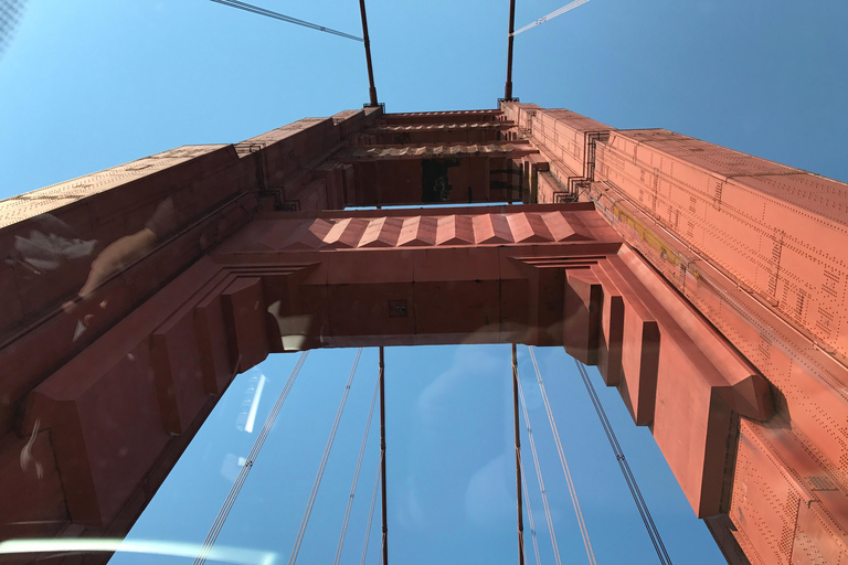 San Francisco: Muir Woods, Pacific Coast & Sausalito Tour