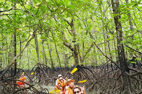 Ko Lanta: Halve Dag Tour EXPLORE MANGROVE per KAYAKING Tour