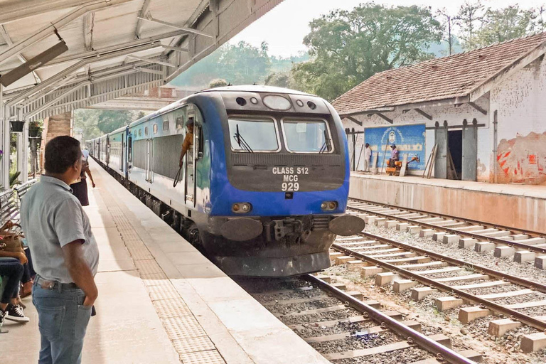 Ambewela to Ella: Scenic Train Ride for Photography Lovers Ambewela to Ella: Scenic Train Ride in 3rd Class cabin