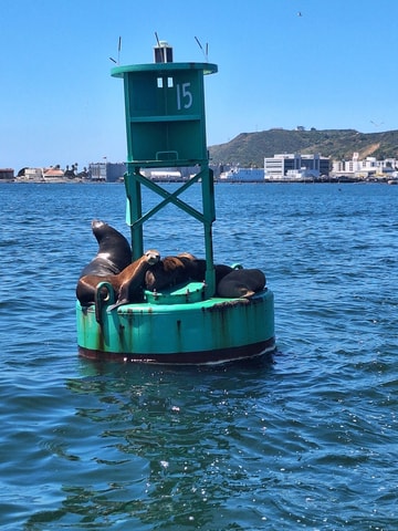 San Diego: Sea Lion Express Guided Tour