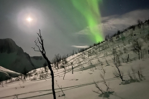 Senja: Northern Lights Snowshoe Hike with Guide & Snacks