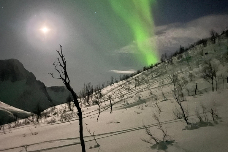 Senja: Northern Lights Snowshoe Hike with Guide & Snacks