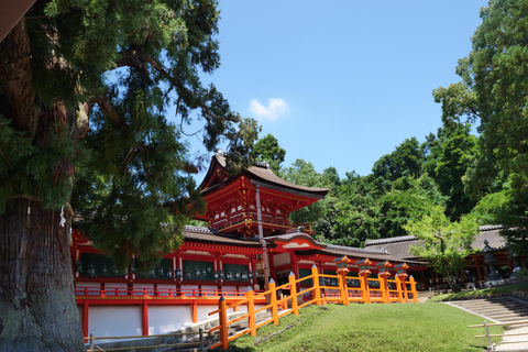 Nara : visite d&#039;une demi-journée au patrimoine de l&#039;UNESCO et visite à pied de la culture locale