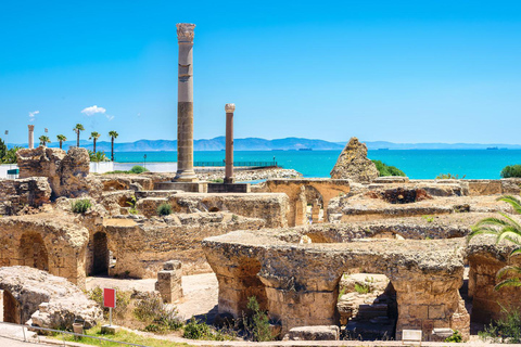 Sousse: Tunis Carthage & Sidi Bou Said & Medina Guided Tour German Tour Guide