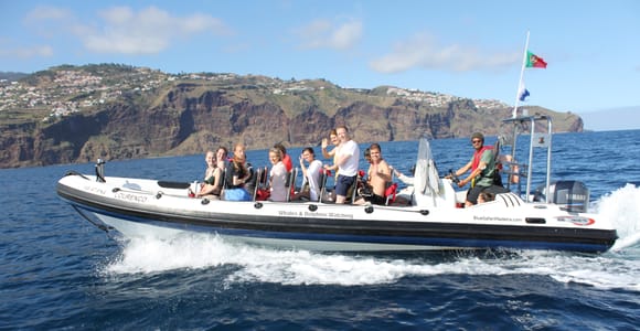 Ab Funchal: Wale und Delfin Abenteuer Tour