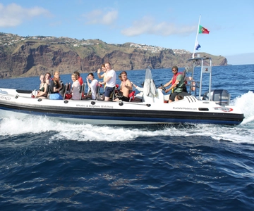 From Funchal: Whales and Dolphin Adventure Tour