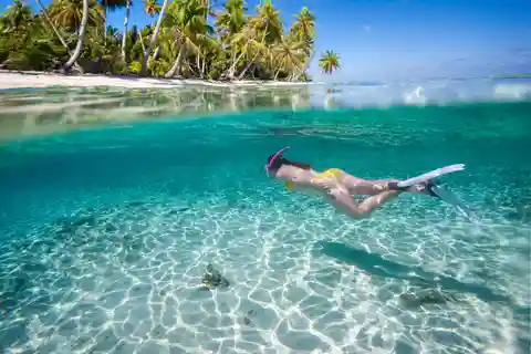 From Punta Cana: Isla Saona Full-Day Tour with Buffet Lunch