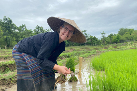 Luang Prabang: Rice Farm, Fishing & Picnic Experience