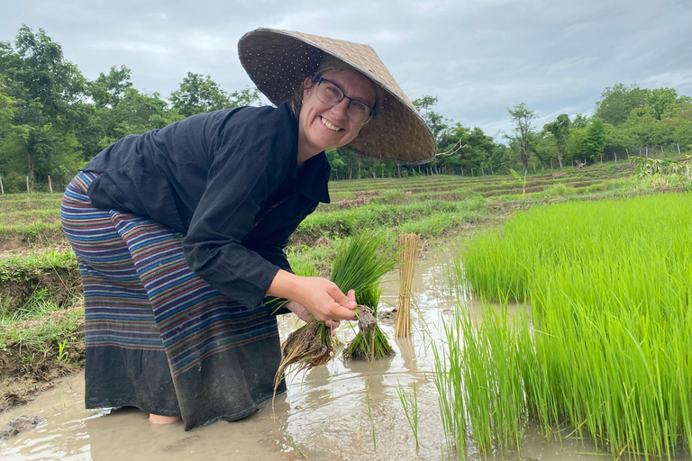 Luang Prabang: Rice Farm, Fishing & Picnic Experience