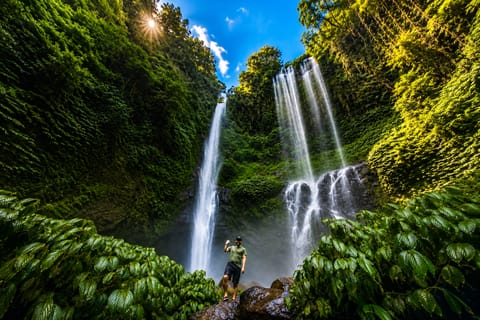 Sekumpul Waterfall Trek from Bebetin: Rice Fields & Coconut